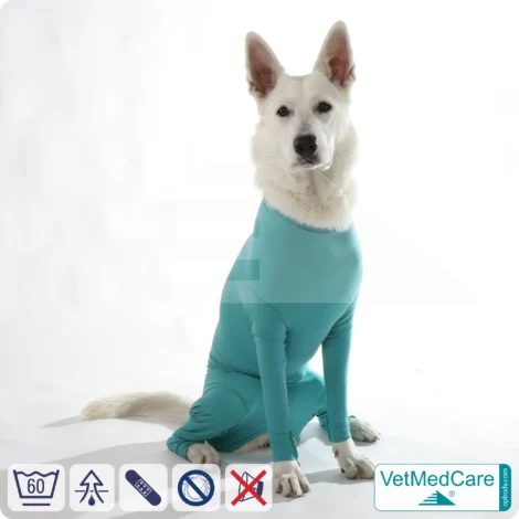 Hundebody für Hündin mit Läufen | Ganzkörperbody speziell für die Hündin | VetMedCare®