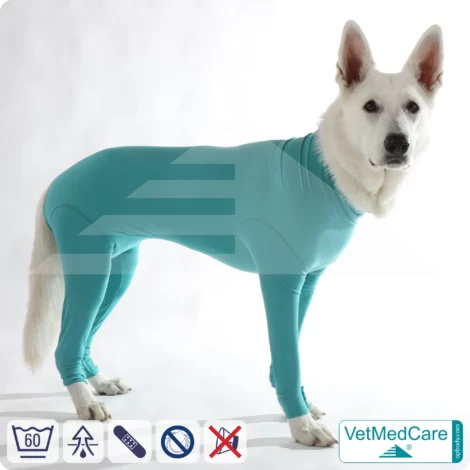 Hundebody für Hündin mit Läufen | Ganzkörperbody speziell für die Hündin | VetMedCare®