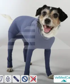 Hundebody für Hündin mit Läufen | Ganzkörperbody speziell für die Hündin | VetMedCare®