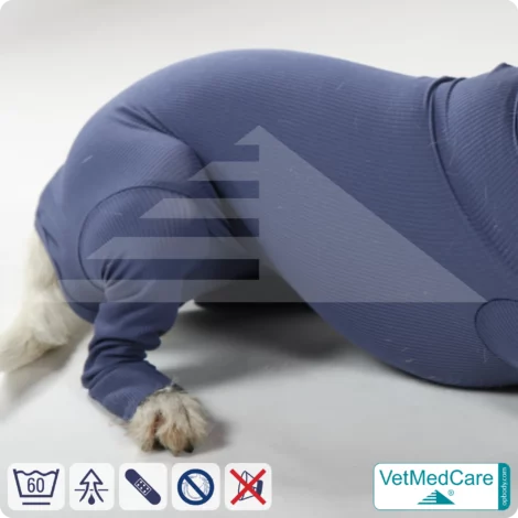 Hundebody für Hündin mit Läufen | Ganzkörperbody speziell für die Hündin | VetMedCare®