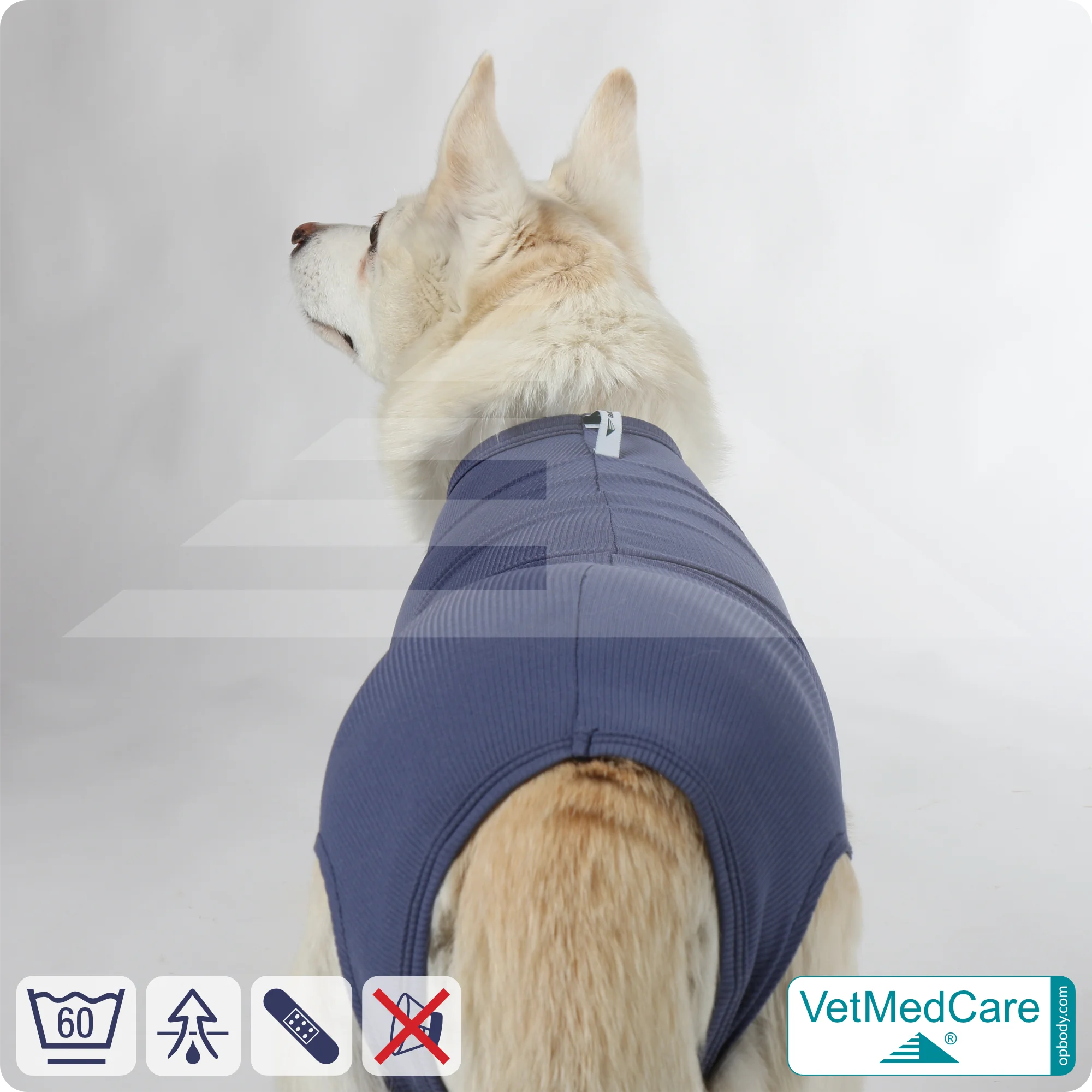 Hund OP Hundebody Female | speziell für die Hündin | VetMedCare®