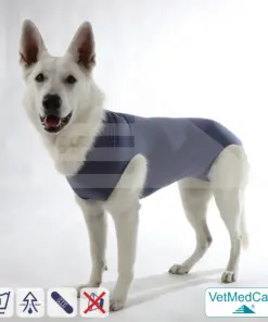 Hund OP Hundebody Female | speziell für die Hündin | VetMedCare®