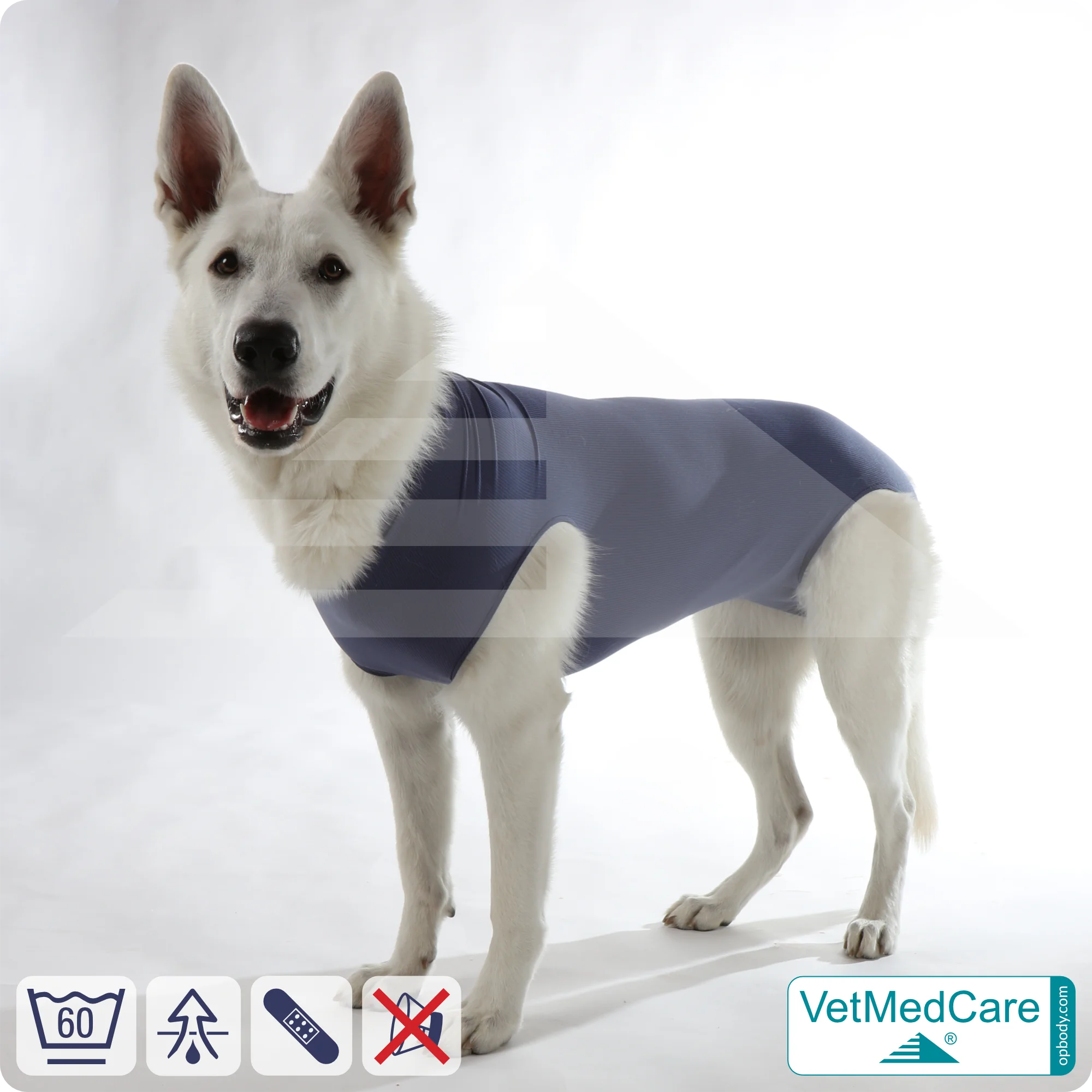 Hund OP Hundebody Female | speziell für die Hündin | VetMedCare®
