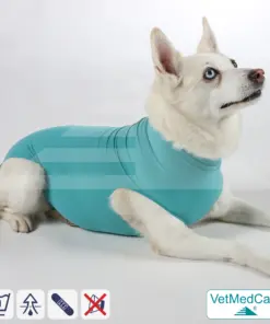 Hund OP Hundebody Female | speziell für die Hündin | VetMedCare®