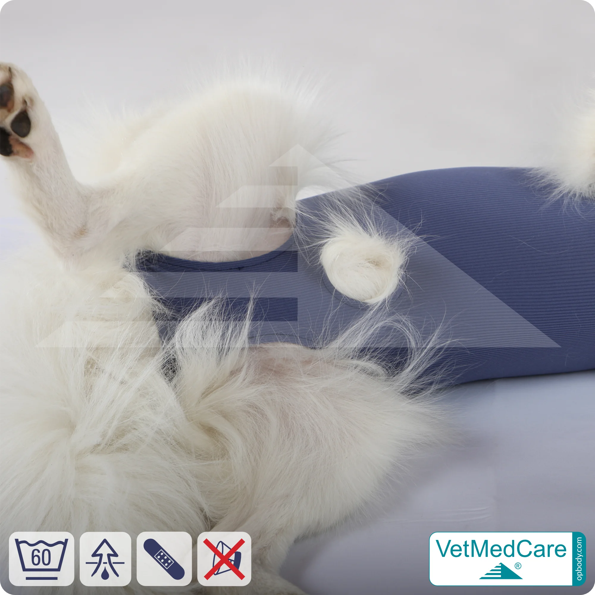 Hund OP Hundebody Male | speziell für den Rüden | VetMedCare®