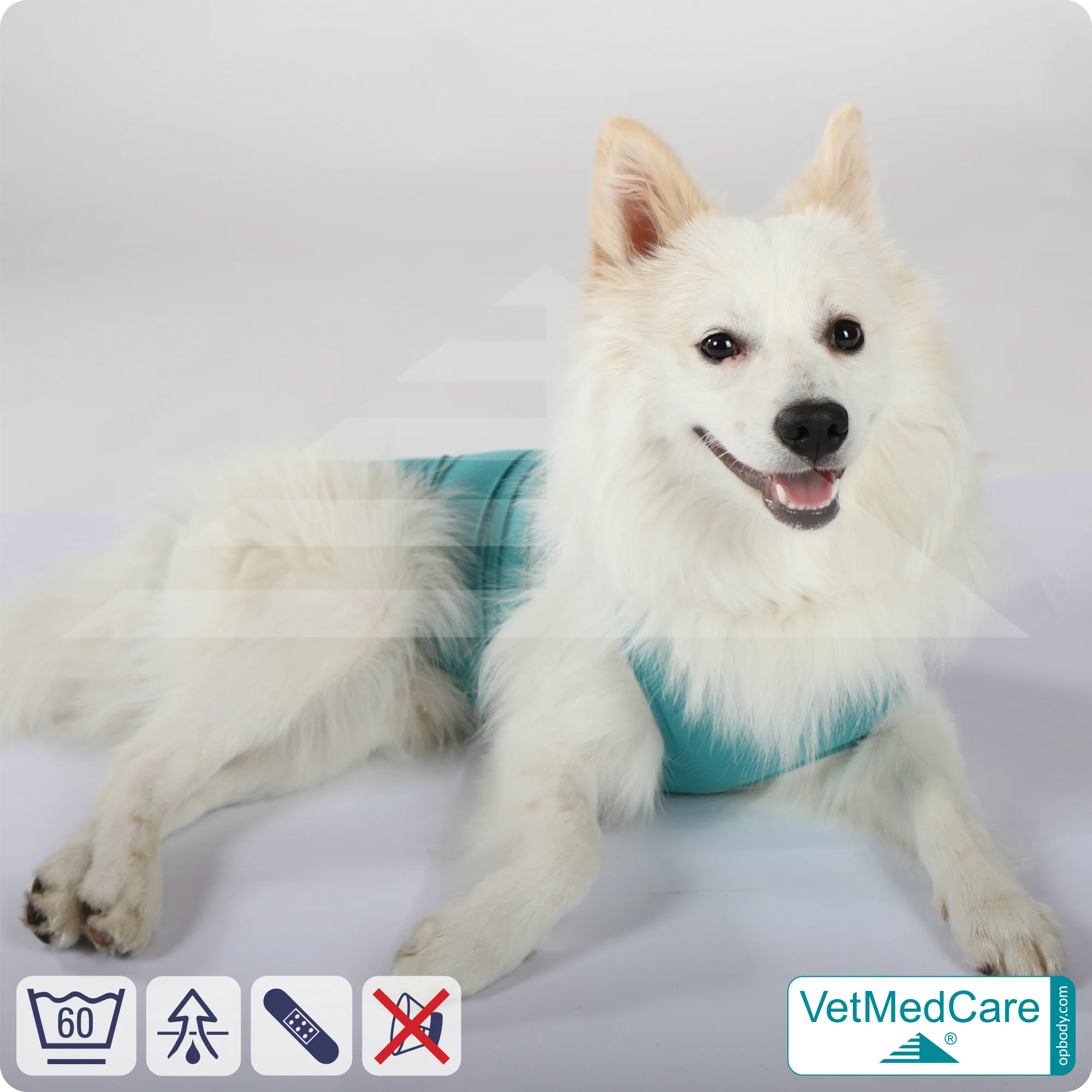 Hund OP Hundebody Male | speziell für den Rüden | VetMedCare®