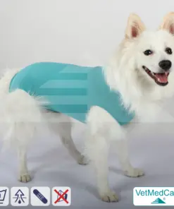 Hund OP Hundebody Male | Body speziell für den Rüden | VetMedCare®