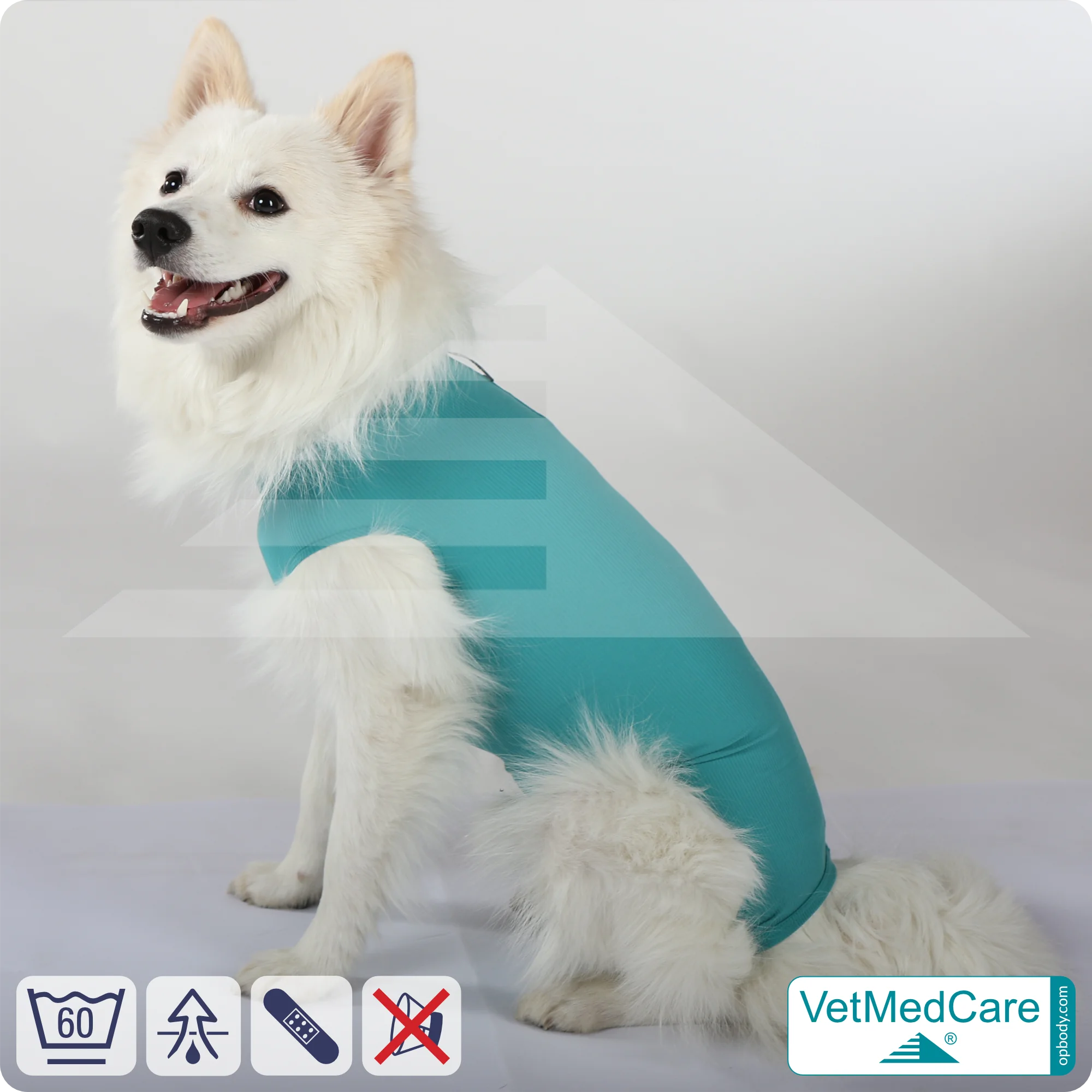 Hund OP Hundebody Male | speziell für den Rüden | VetMedCare®