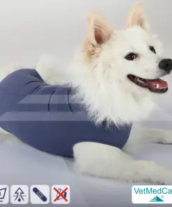 Hund OP Hundebody Male | speziell für den Rüden | VetMedCare®