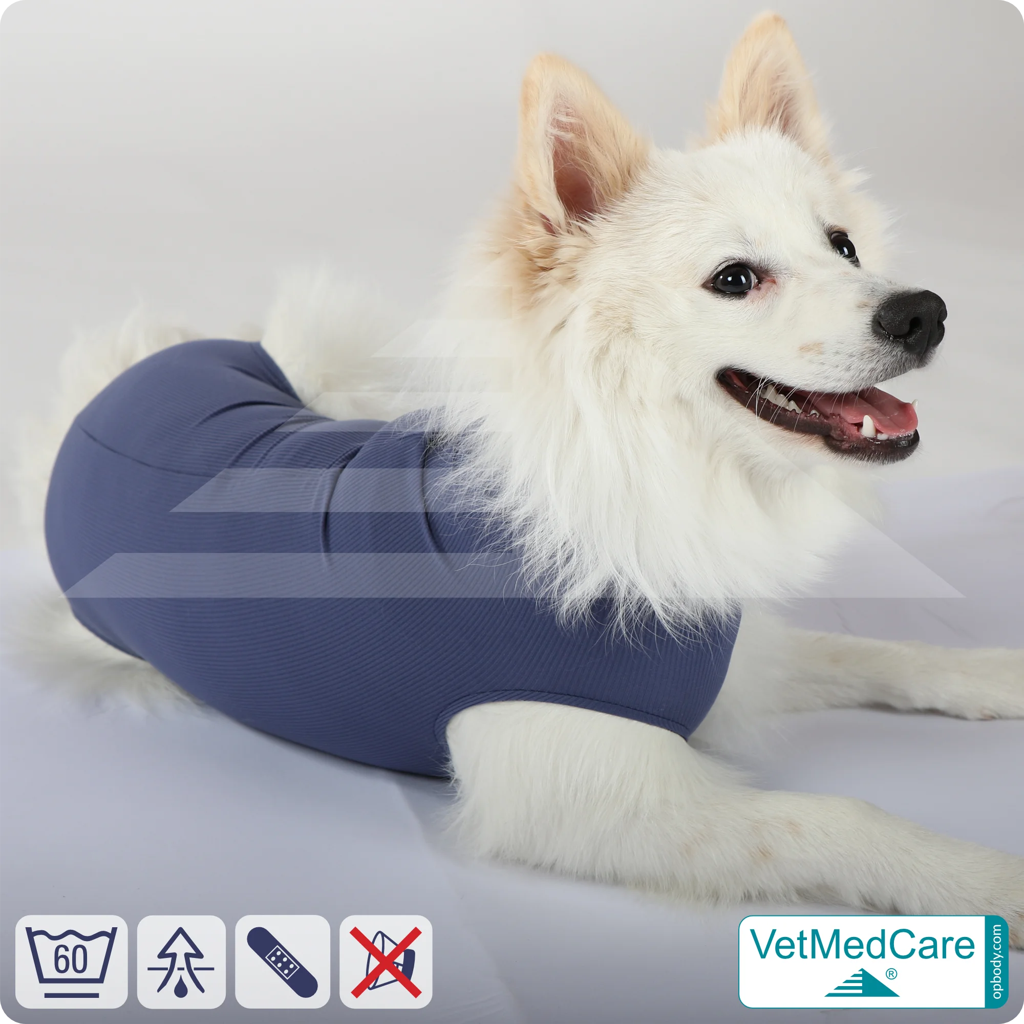 Hund OP Hundebody Male | speziell für den Rüden | VetMedCare®