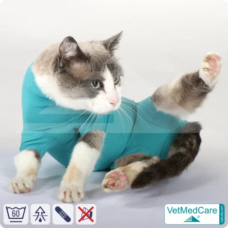 Katzenbody + Wundschutz speziell für Katzen entwickelt | VetMedCare® Cat Bodysuit