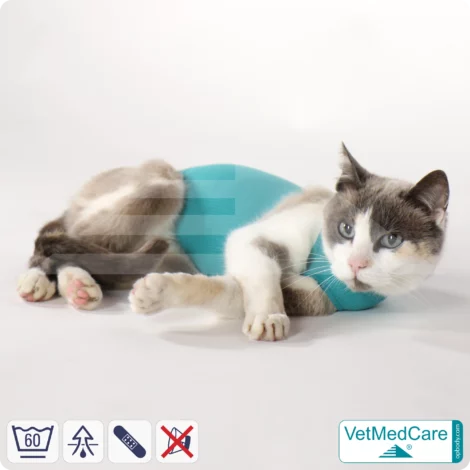 Katzenbody + Wundschutz speziell für Katzen entwickelt | VetMedCare® Cat Bodysuit