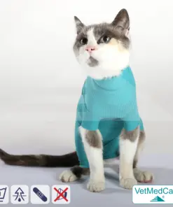 Katzenbody + Wundschutz speziell für Katzen entwickelt | VetMedCare® Cat Bodysuit