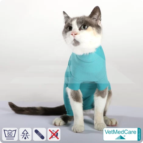 Katzenbody + Wundschutz speziell für Katzen entwickelt | VetMedCare® Cat Bodysuit