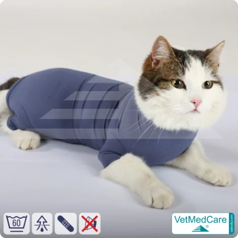 Katzenbody + Wundschutz speziell für Katzen entwickelt | VetMedCare® Cat Bodysuit