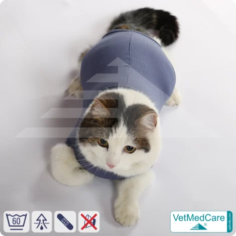 Katzenbody + Wundschutz speziell für Katzen entwickelt | VetMedCare® Cat Bodysuit