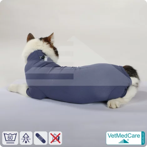Katzenbody + Wundschutz speziell für Katzen entwickelt | VetMedCare® Cat Bodysuit