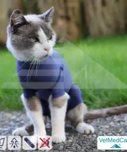 Katzenbody + Wundschutz speziell für Katzen entwickelt | VetMedCare® Cat Bodysuit