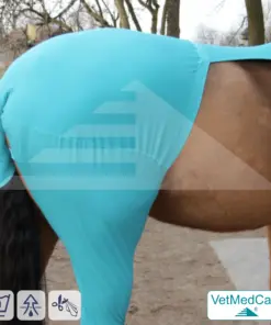 Pferde Wundschutz / Beinschutz für die Beine - Hinterlauf | links und rechts passend | VetMedCare®