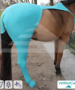 Pferde Wundschutz / Beinschutz für die Beine - Hinterlauf | links und rechts passend | VetMedCare®