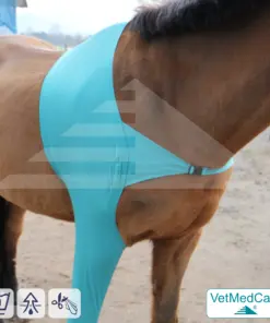 Pferde Wundschutz / Beinschutz für die Beine - Vorderlauf | links und rechts passend | VetMedCare®