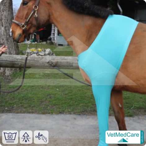 Pferde Wundschutz / Beinschutz für die Beine - Vorderlauf | links und rechts passend | VetMedCare®