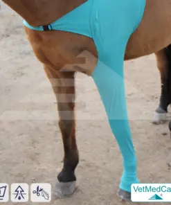 Pferde Wundschutz / Beinschutz für die Beine - Vorderlauf | links und rechts passend | VetMedCare®
