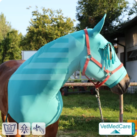 Sleazy / Sleezy Pferde Body, Pferdehaube - Fliegenschutz, Mückenschutz bzw. Insektenschutz von Kopf, Ohren und Hals - mit Stirnfransen | VetMedCare