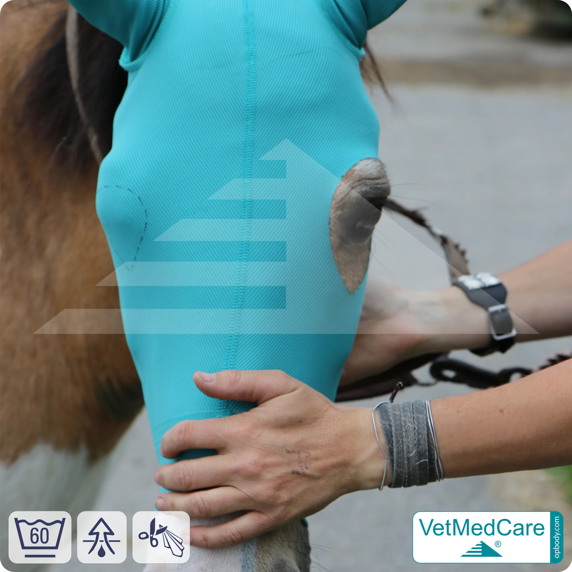 Pferde Kopfmaske | Schutz für Augen, Kopf und Ohren - ohne Augenausschnitt | Horse Head-Ear Protector | VetMedCare®