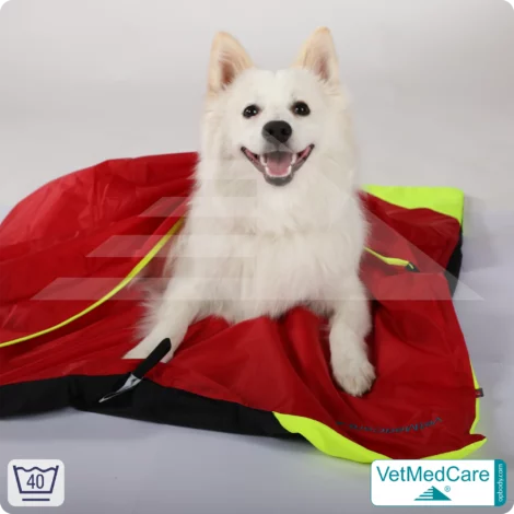 Hunde Safety Bag mit extrem isolierender, integrierter Hundedecke | wie ein Hundebett mit Schutz vor Wind, Kälte und Nässe | VetMedCare®