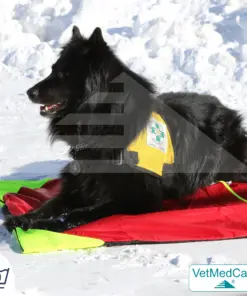 Hunde Safety Bag mit extrem isolierender, integrierter Hundedecke | wie ein Hundebett mit Schutz vor Wind, Kälte und Nässe | VetMedCare®