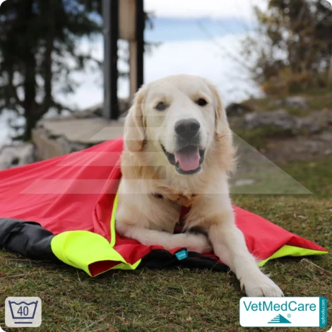 Hunde Safety Bag mit extrem isolierender, integrierter Hundedecke | wie ein Hundebett mit Schutz vor Wind, Kälte und Nässe | VetMedCare®