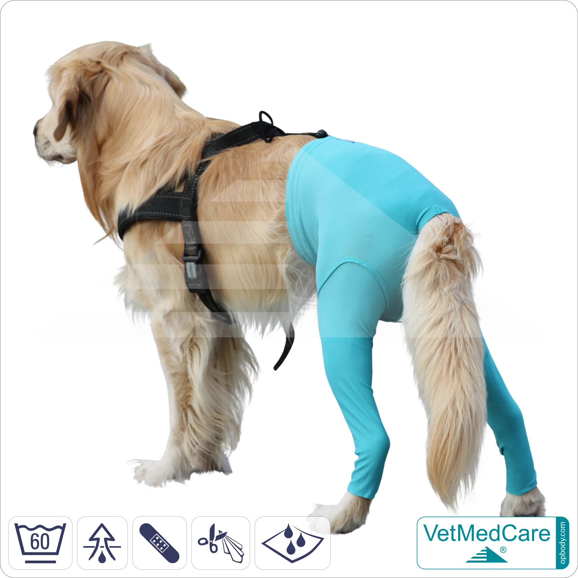 Hunde Sicherheitshosen + Hundewindeln | Dog Safety Pants bei Läufigkeit, Menstruation und Inkontinenz | VetMedCare®