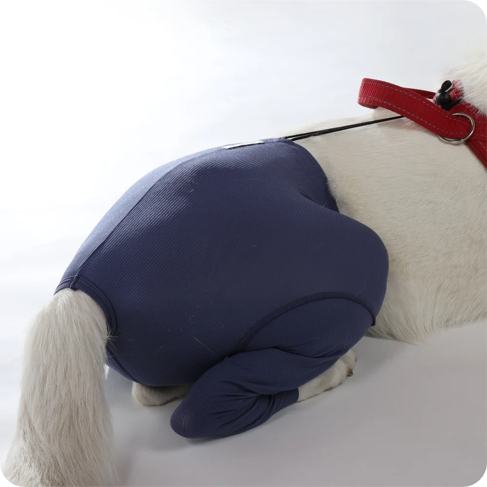 Hunde Sicherheitshosen + Hundewindeln | Dog Safety Pants bei Läufigkeit, Menstruation und Inkontinenz | VetMedCare®. Feedbild.