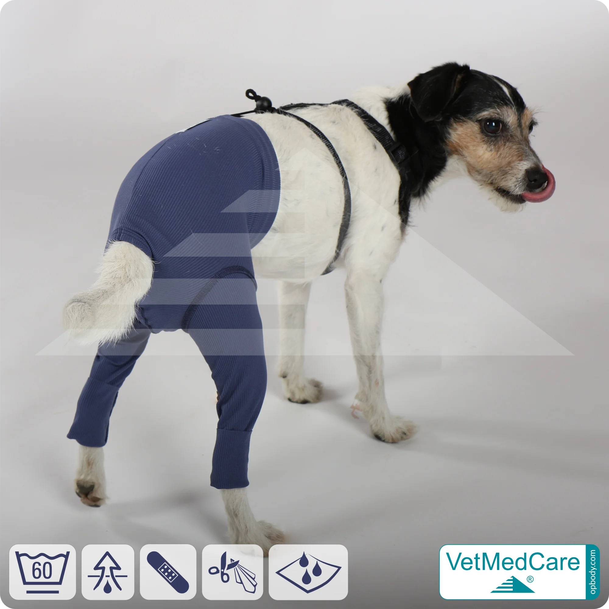 Hunde Sicherheitshosen + Hundewindeln | Dog Safety Pants bei Läufigkeit, Menstruation und Inkontinenz | VetMedCare®