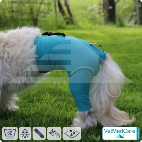 Hunde Sicherheitshosen + Hundewindeln | Dog Safety Pants bei Läufigkeit, Menstruation und Inkontinenz | VetMedCare®