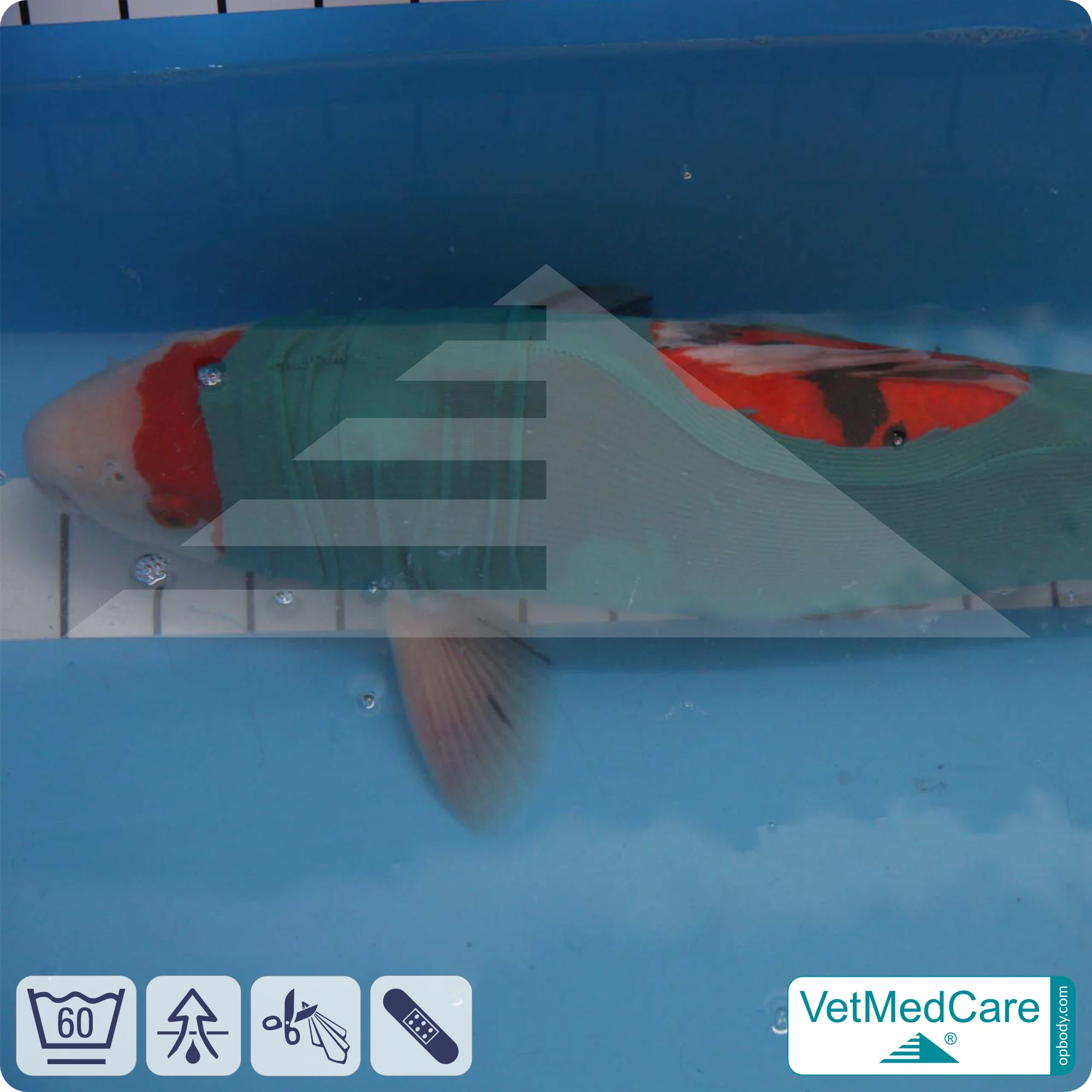 DIY Safety Tubes | wie Mullbinden, Verband und Pflaster in einem | Schutz Strümpfe für Haustiere wie Hamster, Hase und Kleintiere | VetMedCare®