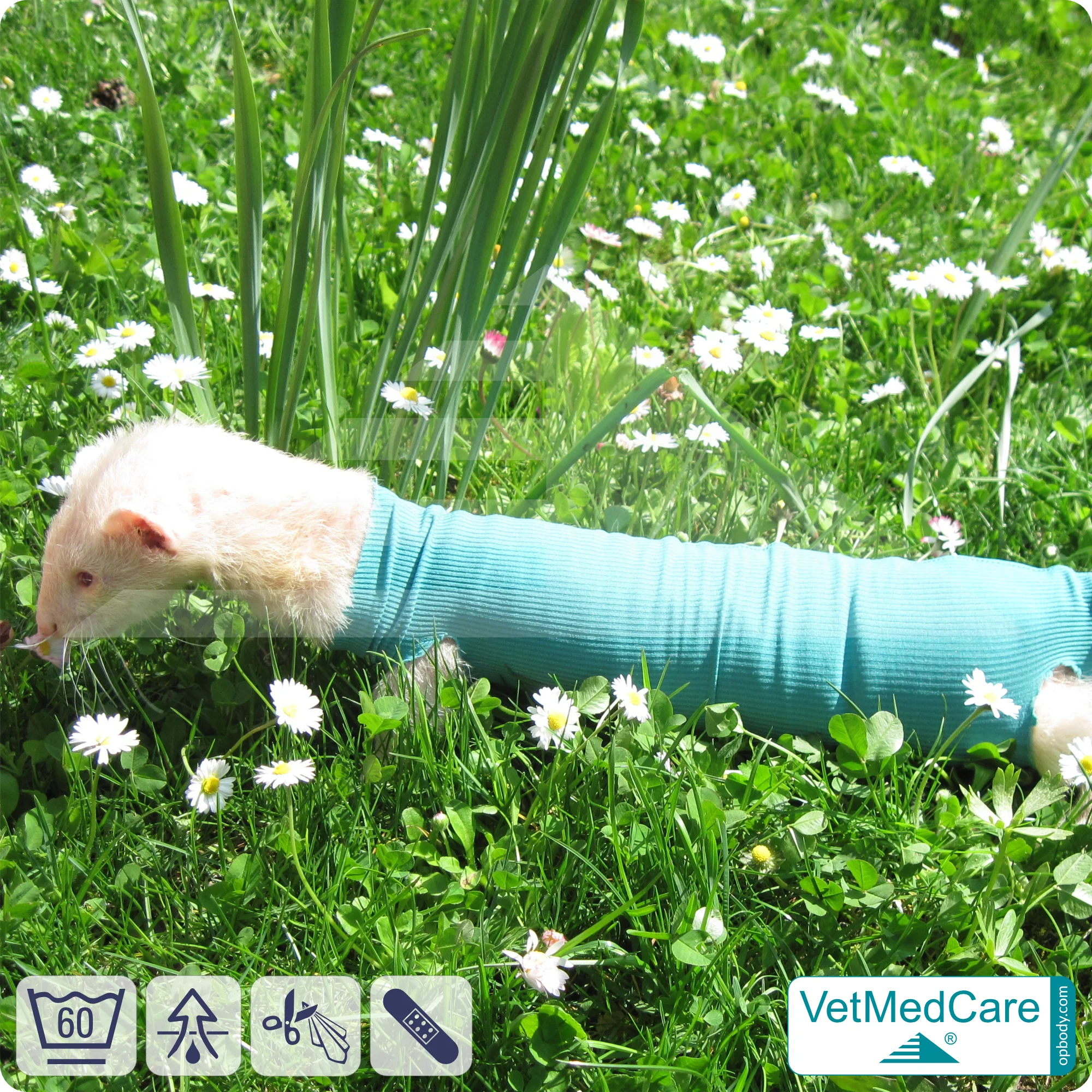 DIY Safety Tubes | wie Mullbinden, Verband und Pflaster in einem | Schutz Strümpfe für Haustiere wie Hamster, Hase und Kleintiere | VetMedCare®