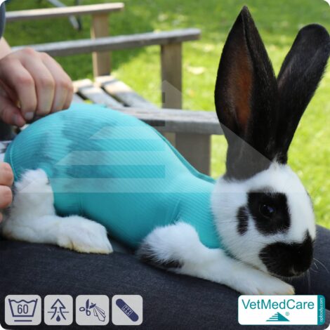 DIY Safety Tubes | wie Mullbinden, Verband und Pflaster in einem | Schutz Strümpfe für Haustiere wie Hamster, Hase und Kleintiere | VetMedCare®