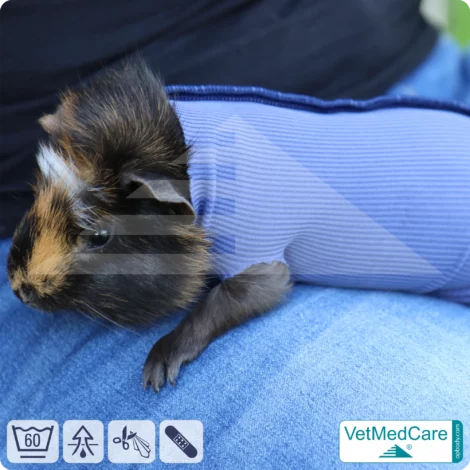 Safety Tubes DIY | wie Mullbinde, Verband und Pflaster in einem | Schutz Strümpfe für Haustiere wie Hamster, Hase und Kleintiere | VetMedCare®