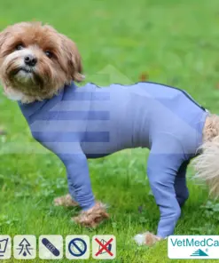 Hundebody mit Zipper blau | VetMedCare