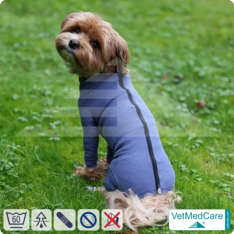 Hundebody mit Zipper blau | VetMedCare